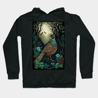 Ostara. spring equinox 05 Hoodie